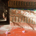 Intimate Majorelle Gardens Scene