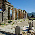 Roman Ruins in Volubilis