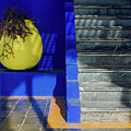 The Colors of Majorelle Gardens